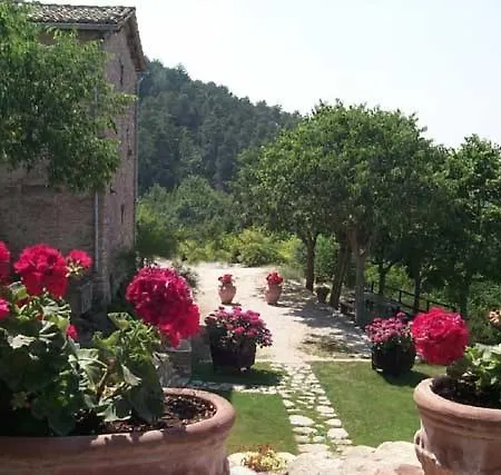 Aparthotel L'oasi Piano Delle Pieve
