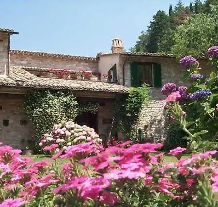 L'oasi *