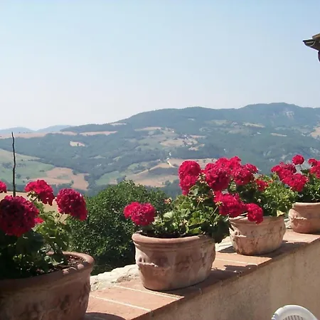 Апарт-отель L'oasi