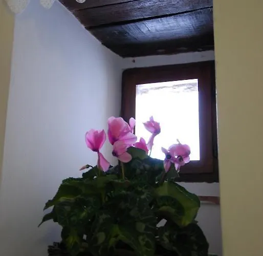 Ξενοδοχείο με διαμερίσματα L'oasi